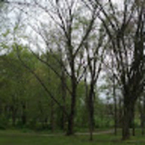 Meet your Posher, Randy